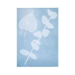 Moses Papier Imprimé Par Le Soleil - 10 Feuilles A4 7 Moses Papier Imprimé Par Le Soleil - 10 Feuilles A4 -Divertissement Jeux Jouets Magasin papier imprime par le soleil 10 feuilles a4 2