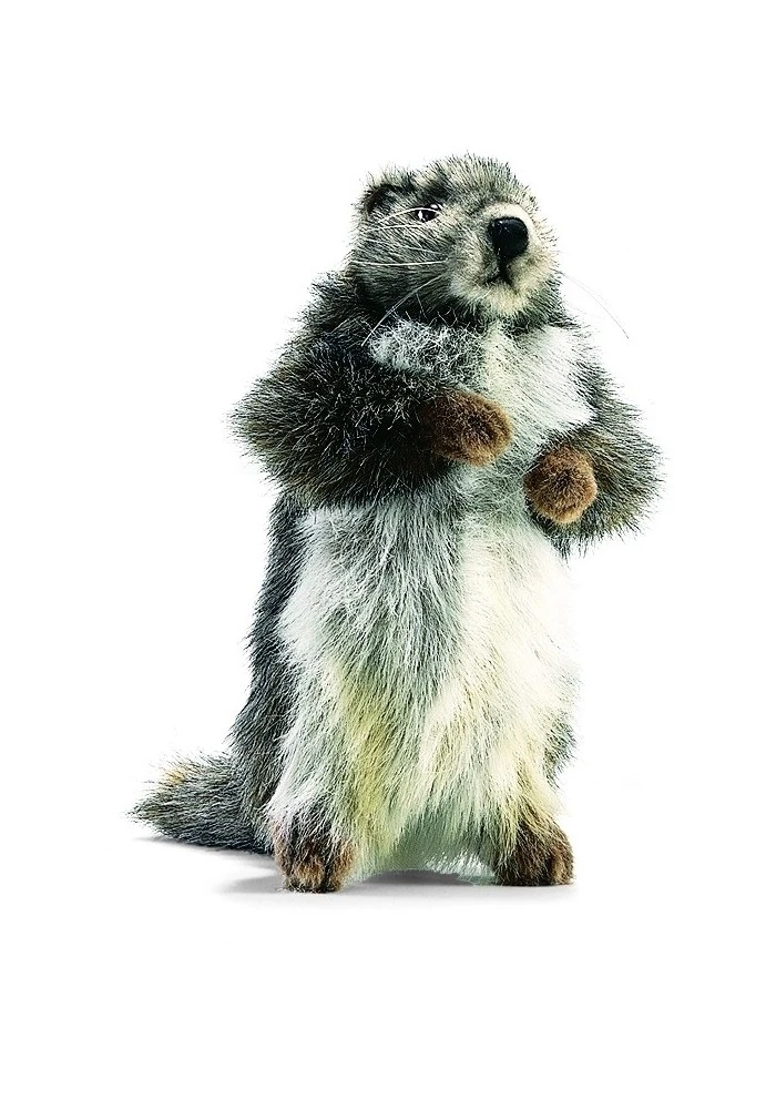 PELUCHE ANIMA MARMOTTE 25 CM 3 PELUCHE ANIMA MARMOTTE 25 CM