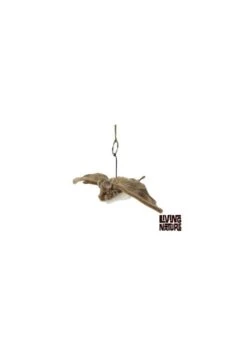Peluche Chauve-souris 24 Cm