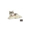 Peluche Géant HUSKY -Divertissement Jeux Jouets Magasin peluche geant husky 60cm