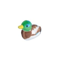 Peluche Sonore Canard Colvert
