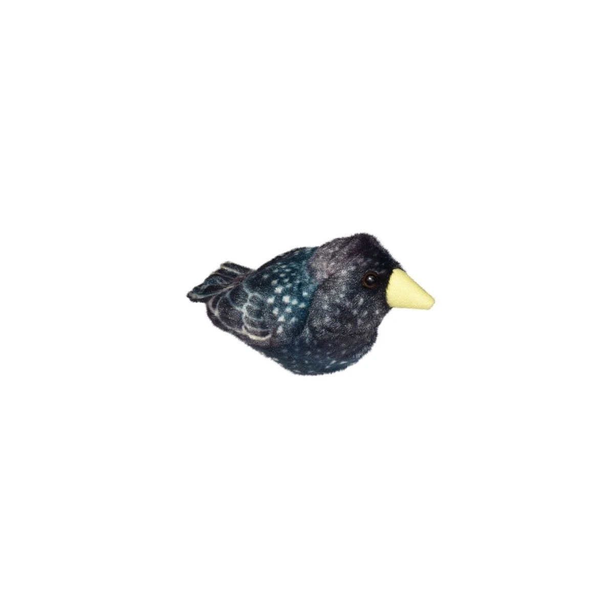 Peluche Sonore Etourneau Sansonnet 3 Peluche Sonore Etourneau Sansonnet