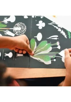 Poster Découverte Avec Stickers Botanique -Divertissement Jeux Jouets Magasin poster avec stickers botanique 2