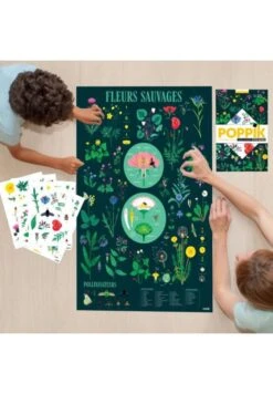 Poster Découverte Avec Stickers Botanique -Divertissement Jeux Jouets Magasin poster avec stickers botanique 3