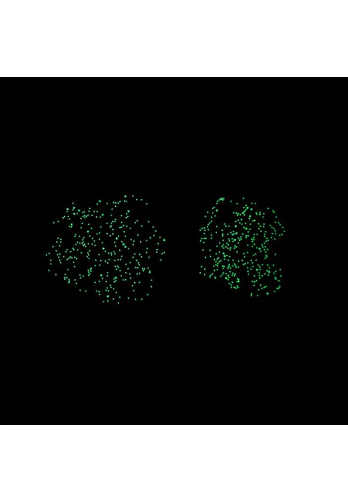 Poster Découverte Avec Stickers Carte Du Ciel PHOSPHO 6 Poster Découverte Avec Stickers Carte Du Ciel PHOSPHO – Image 4