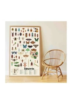 Poster Découverte Avec Stickers Insectes 6 Poster Découverte Avec Stickers Insectes -Divertissement Jeux Jouets Magasin poster decouverte avec stickers insectes 1