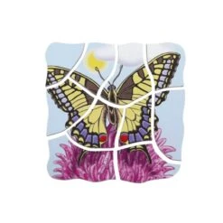 Hape Puzzle Développement Papillons