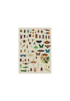 Puzzle Insectes -Divertissement Jeux Jouets Magasin puzzle insectes 2