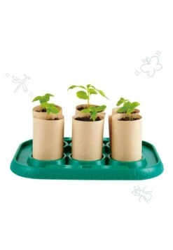 Hape Serre Pour Apprentis Jardiniers 8 Hape Serre Pour Apprentis Jardiniers -Divertissement Jeux Jouets Magasin serre pour apprentis jardiniers 2