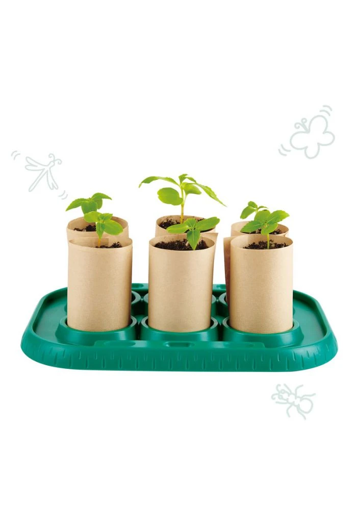 Hape Serre Pour Apprentis Jardiniers 5 Hape Serre Pour Apprentis Jardiniers – Image 3