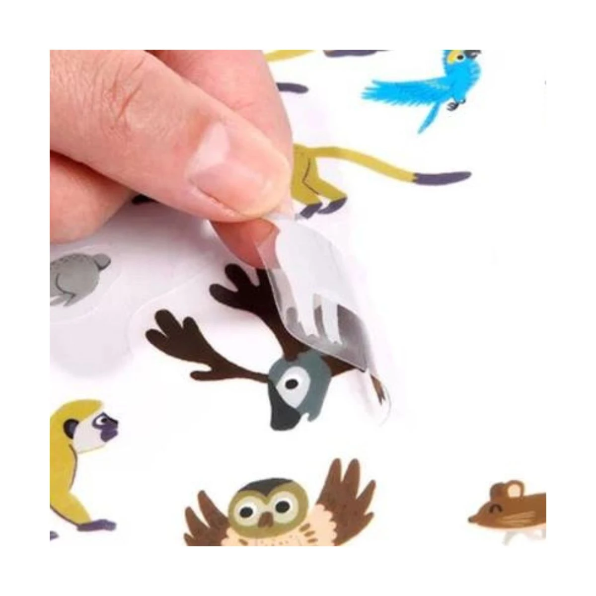 Stickers Repositionnables - Animaux 5 Stickers Repositionnables - Animaux – Image 3