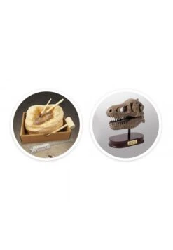 BUKI Tête De Dinosaure à Déterrer : T-Rex 8 BUKI Tête De Dinosaure à Déterrer : T-Rex -Divertissement Jeux Jouets Magasin tete de dinosaure a deterrer t rex 2